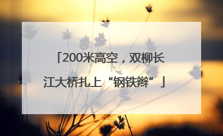 200米高空，双柳长江大桥扎上“钢铁辫”
