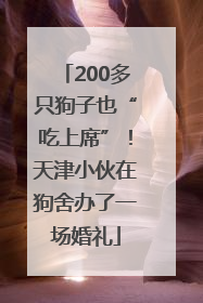 200多只狗子也“吃上席”！天津小伙在狗舍办了一场婚礼