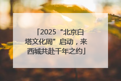 2025“北京白塔文化周”启动，来西城共赴千年之约