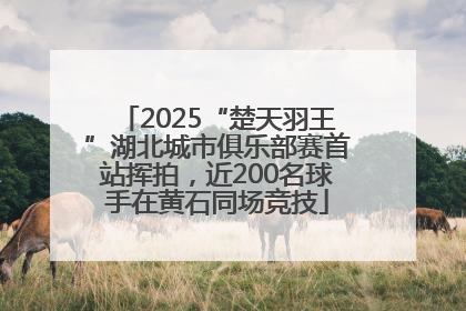 2025“楚天羽王”湖北城市俱乐部赛首站挥拍，近200名球手在黄石同场竞技