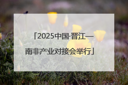 2025中国·晋江—南非产业对接会举行