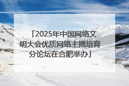 2025年中国网络文明大会优质网络主播培育分论坛在合肥举办