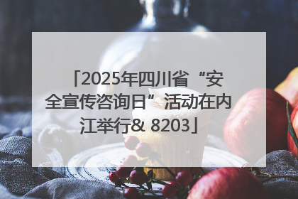 2025年四川省“安全宣传咨询日”活动在内江举行& 8203