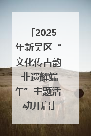 2025年新吴区“文化传古韵 非遗耀端午”主题活动开启