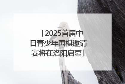 2025首届中日青少年围棋邀请赛将在洛阳启幕