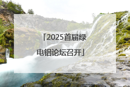 2025首届绿电铝论坛召开