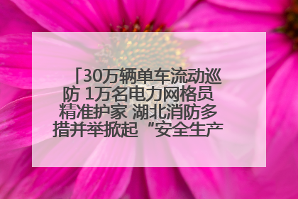 30万辆单车流动巡防 1万名电力网格员精准护家 湖北消防多措并举掀起“安全生产月”宣传热潮