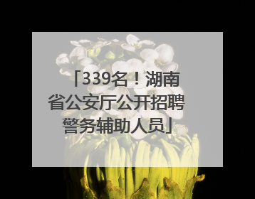 339名！湖南省公安厅公开招聘警务辅助人员