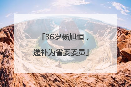 36岁杨旭恒，递补为省委委员