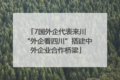 7国外企代表来川 “外企看四川”搭建中外企业合作桥梁
