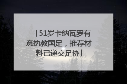 51岁卡纳瓦罗有意执教国足，推荐材料已递交足协