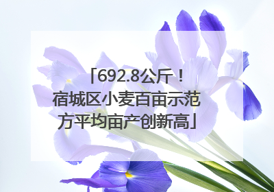 692.8公斤！宿城区小麦百亩示范方平均亩产创新高