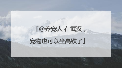 @养宠人 在武汉，宠物也可以坐高铁了