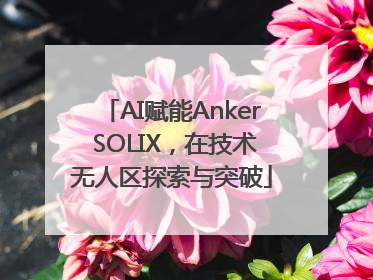 AI赋能Anker SOLIX，在技术无人区探索与突破