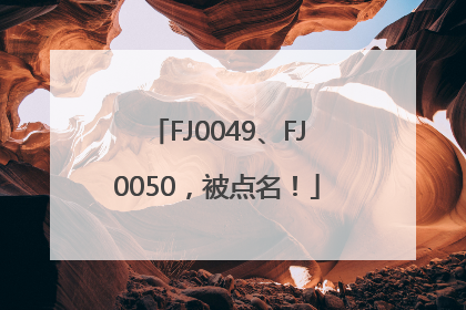 FJ0049、FJ0050，被点名！