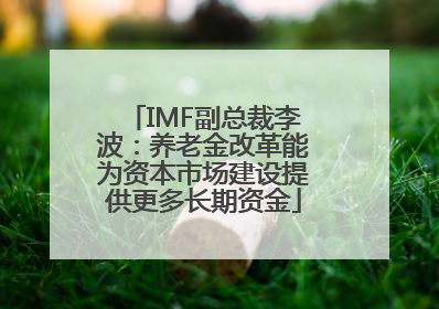 IMF副总裁李波：养老金改革能为资本市场建设提供更多长期资金